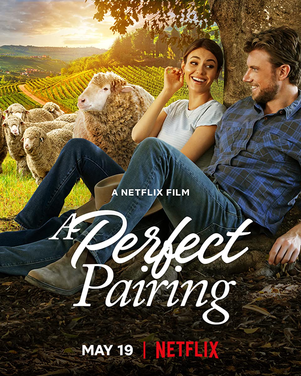 مشاهدة فيلم A Perfect Pairing 2022 مترجم