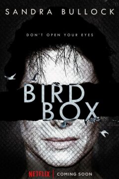 مشاهدة فيلم Bird Box 2018 مترجم